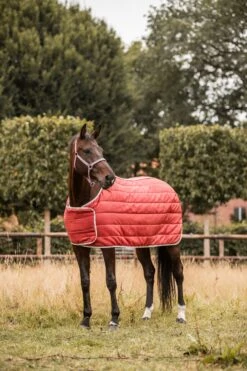 Horze Sudbury 2-in-1 Regendecke, 50g, 100g -Horze Verkaufsgeschäft 24093 msre 07
