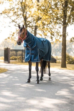 Horze Glasgow Regendecke Mit Halsteil, 150g -Horze Verkaufsgeschäft 24109 559 06