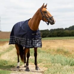 Horze Nevada 1200D Regendecke,100g -Horze Verkaufsgeschäft 24128 PDB LDGR 1