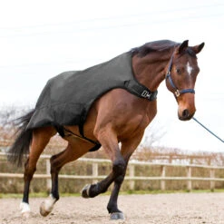 Horze Nevada Führanlagendecke, 200g -Horze Verkaufsgeschäft 24331 BL 3