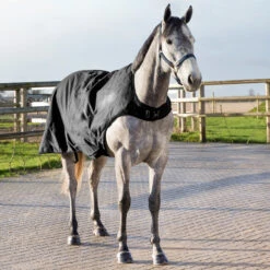 Horze Nevada Führanlagendecke, 200g -Horze Verkaufsgeschäft 24331 BL 5