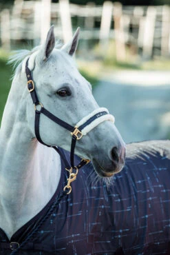Horze Fairfax UV-Schutz Decke 6 Horze Fairfax UV-Schutz Decke -Horze Verkaufsgeschäft 24377 vdb 03
