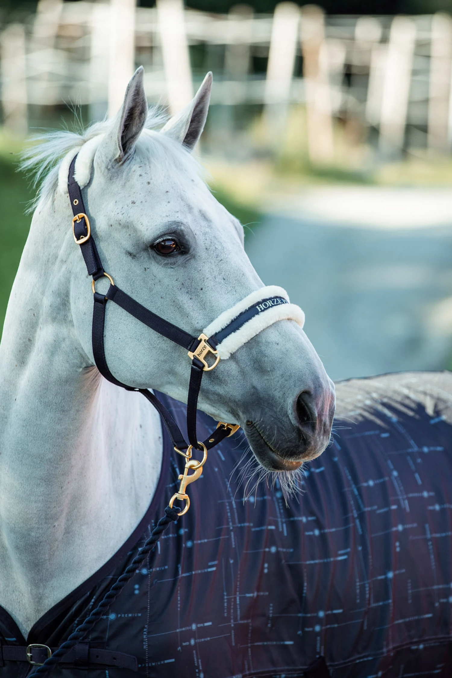 Horze Fairfax UV-Schutz Decke 3 Horze Fairfax UV-Schutz Decke – Bild 3