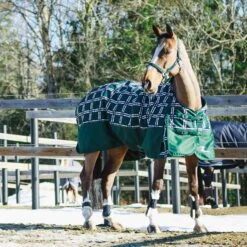 Horze Nevada Winterdecke, 400g -Horze Verkaufsgeschäft 24571 BTGR VDB 2