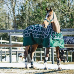 Horze Nevada Mittelschwere Regendecke, 200g -Horze Verkaufsgeschäft 24574 BTGR VDB 3