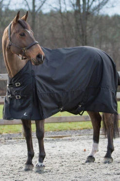 Horze Nevada Regendecke -Horze Verkaufsgeschäft 24575 BL 02