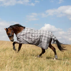 Horze Nevada Regendecke -Horze Verkaufsgeschäft 24575 CG PDB 1