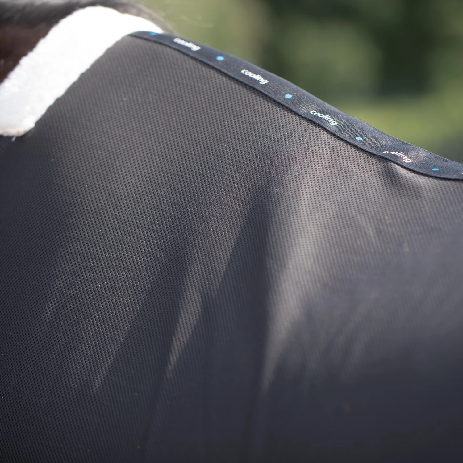 Horze Kühlende Netzdecke 11 Horze Kühlende Netzdecke – Bild 11