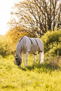 Horze Ekzemerdecke -Horze Verkaufsgeschäft 24812 g 07