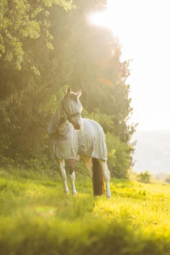 Horze La Pampa Fliegenschutz Set -Horze Verkaufsgeschäft 24817 g 12