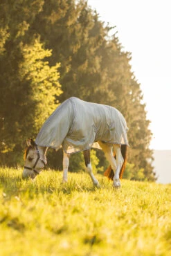 Horze La Pampa Fliegenschutz Set -Horze Verkaufsgeschäft 24817 g 13