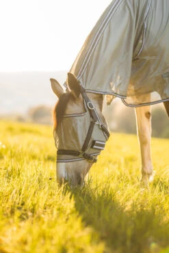 Horze La Pampa Fliegenschutz Set -Horze Verkaufsgeschäft 24817 g 14