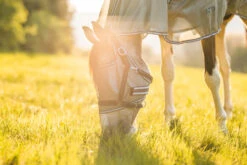 Horze La Pampa Fliegenschutz Set -Horze Verkaufsgeschäft 24817 g 19