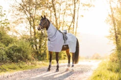 Horze Orleans Fliegen-Ausreitdecke -Horze Verkaufsgeschäft 24836 hrg 09