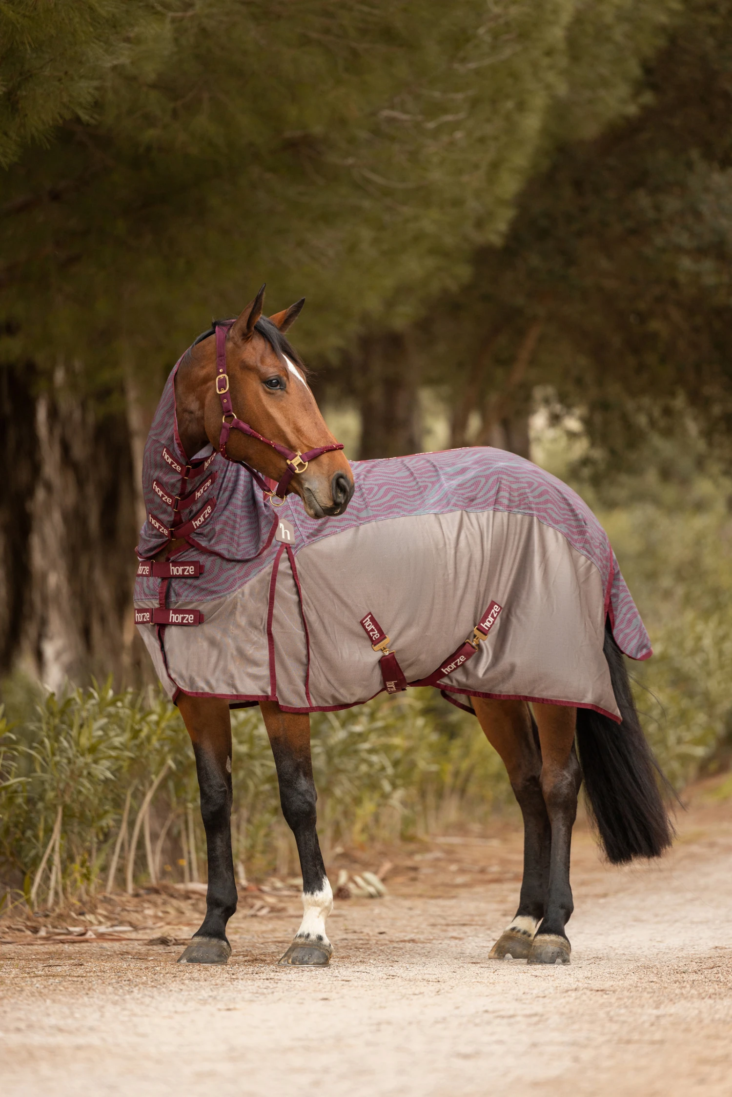 Horze Kenya Fliegendecke Mit Festem Halsteil 8 Horze Kenya Fliegendecke Mit Festem Halsteil – Bild 8