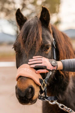 Horze Rainbow Kinder Sommerreithandschuhe 15 Horze Rainbow Kinder Sommerreithandschuhe -Horze Verkaufsgeschäft 31743 333 07