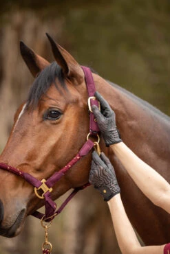 Horze Elenor Damen Mesh Reithandschuhe 27 Horze Elenor Damen Mesh Reithandschuhe -Horze Verkaufsgeschäft 31748 753 07