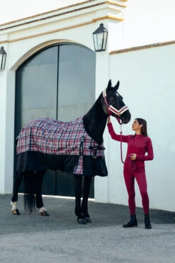 Horze Mia Damen Trainingsshirt Mit Langen Ärmeln Und Mesh-Einsätzen -Horze Verkaufsgeschäft 33578 ADPI 9