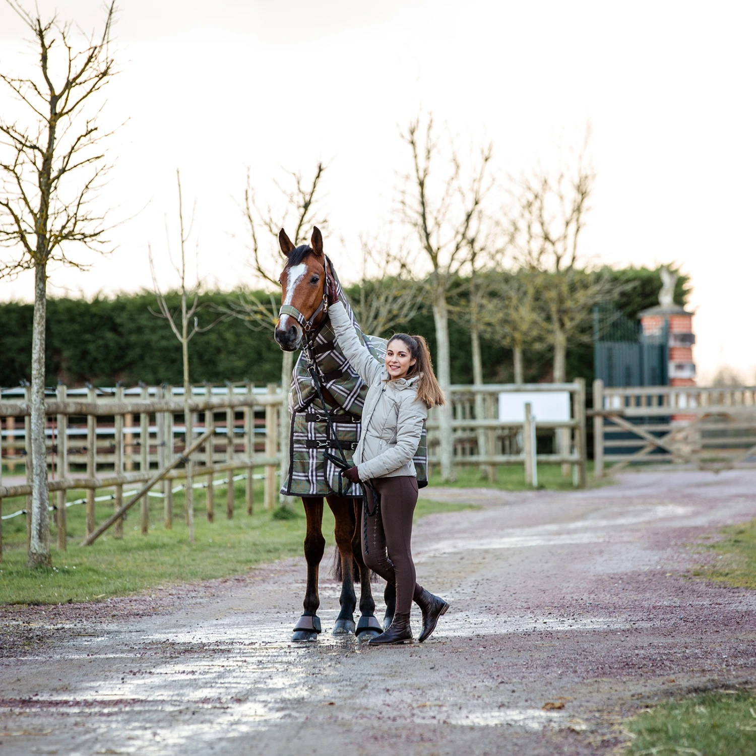 Horze Desiree Reithose Mit Vollbesatz Für Damen Mit Silikon Grip Und Gürtelschlaufen 7 Horze Desiree Reithose Mit Vollbesatz Für Damen Mit Silikon Grip Und Gürtelschlaufen – Bild 7