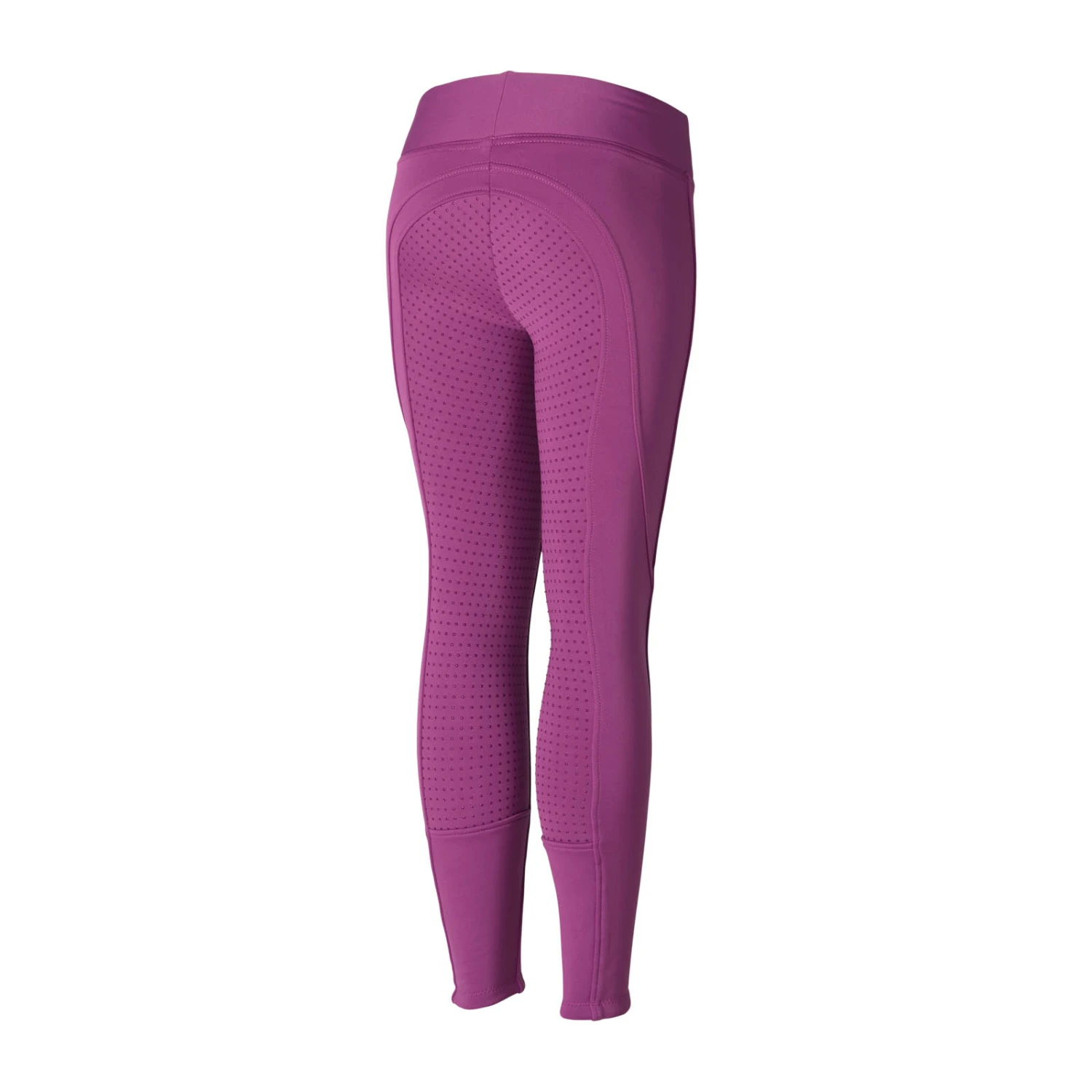 Horze Active Kinder Winter Reitleggings Mit Silikonvollbesatz 2 Horze Active Kinder Winter Reitleggings Mit Silikonvollbesatz – Bild 2