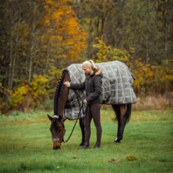 Horze Sienna Damen Reithose Mit Vollbesatz Und Silikon Grip 31 Horze Sienna Damen Reithose Mit Vollbesatz Und Silikon Grip -Horze Verkaufsgeschäft 36660 BRBR 5