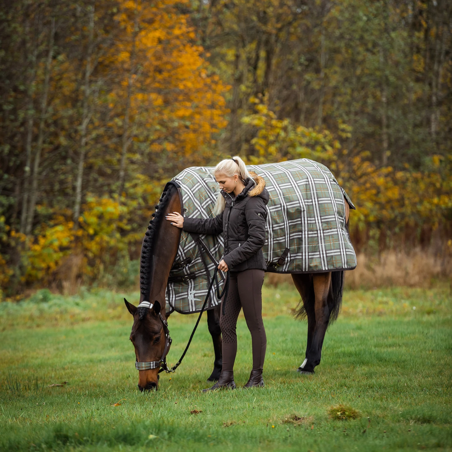 Horze Sienna Damen Reithose Mit Vollbesatz Und Silikon Grip 12 Horze Sienna Damen Reithose Mit Vollbesatz Und Silikon Grip – Bild 12