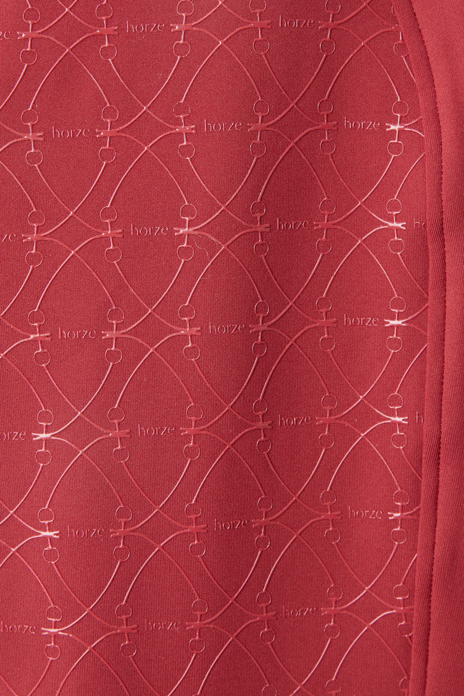 Horze Ingrid Damen Winter Reithose Mit Hohem Bund Und Vollbesatz 13 Horze Ingrid Damen Winter Reithose Mit Hohem Bund Und Vollbesatz – Bild 13