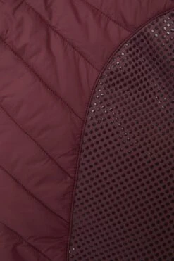 Horze Isla Gefütterte Vollbesatzreitleggings Für Damen 20 Horze Isla Gefütterte Vollbesatzreitleggings Für Damen -Horze Verkaufsgeschäft 36782 245 07