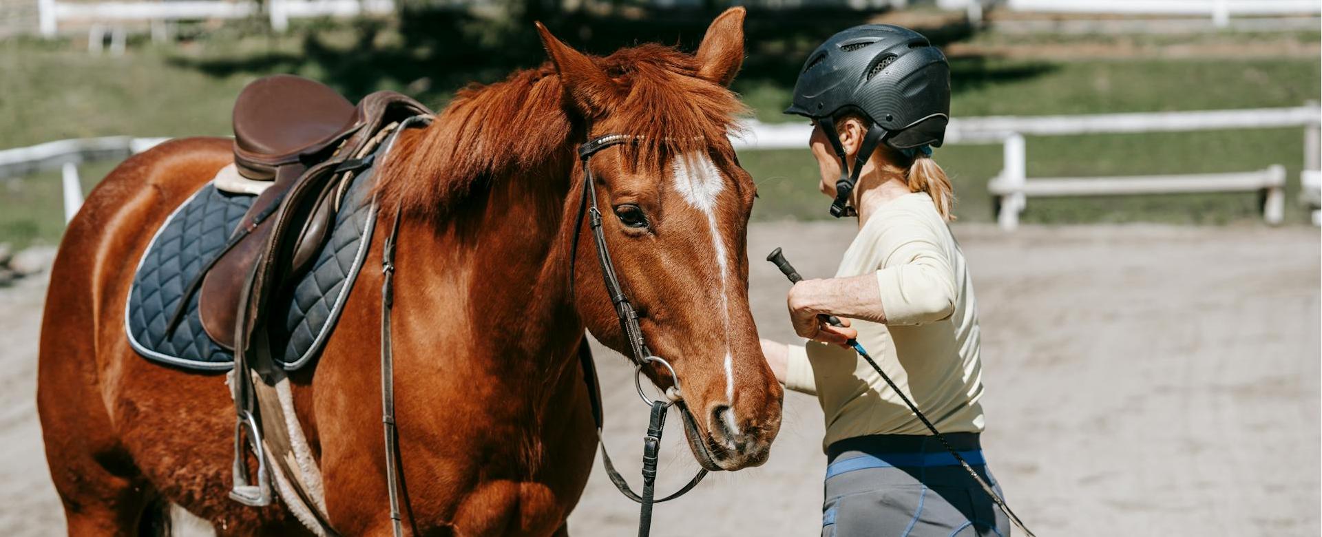 Horze Verkaufsgeschäft -Horze Verkaufsgeschäft pexels barbara olsen 7882941